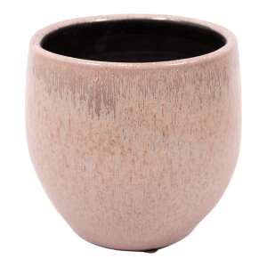 Pot Mason Rose