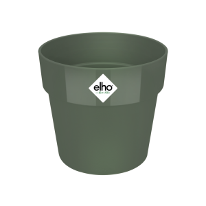 B.FOR ORIGINAL ROUND LEAF GREEN L