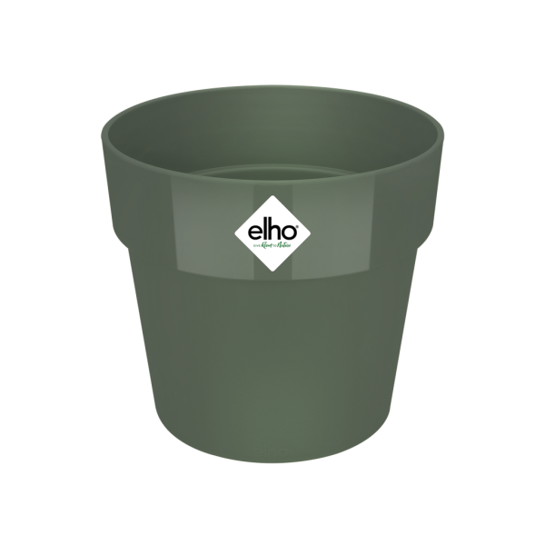 B.FOR ORIGINAL ROUND LEAF GREEN L
