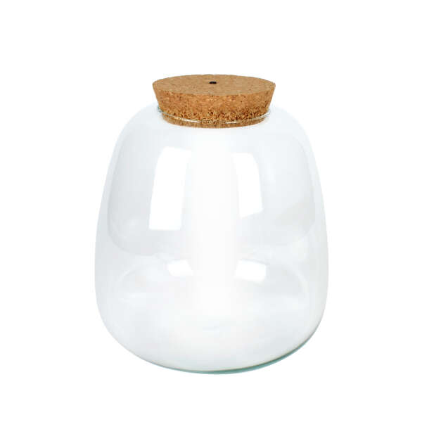 Plant Puzzle Glass without LED