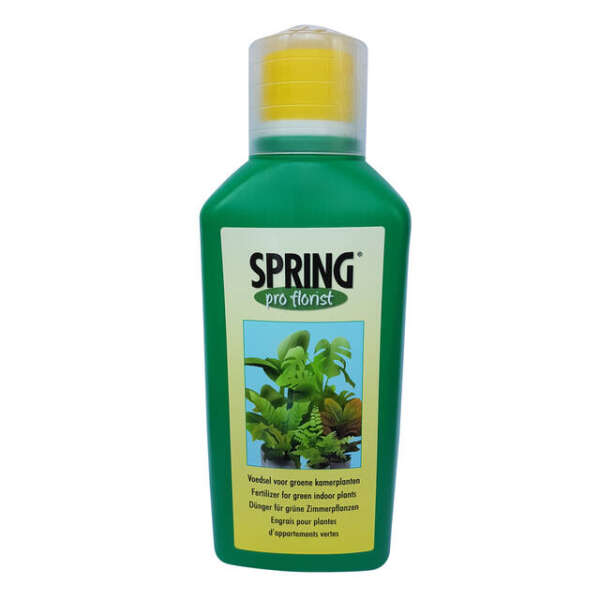 Fertilizer for green indoor plants 500ml