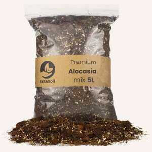 SYBAsoil Alocasia mix 5L