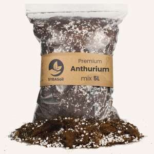 SYBAsoil Anthurium mix 5L
