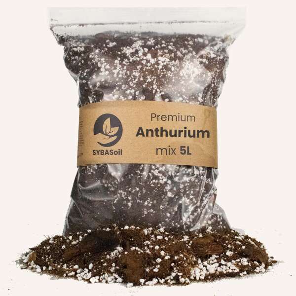 SYBAsoil Anthurium mix 5L