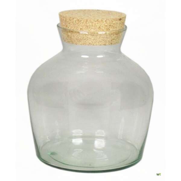 Glass Dean with Cork