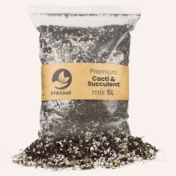 Sybasoil Cacti & Succulent mix 5L