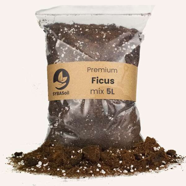 Sybasoil Ficus Mix 5L