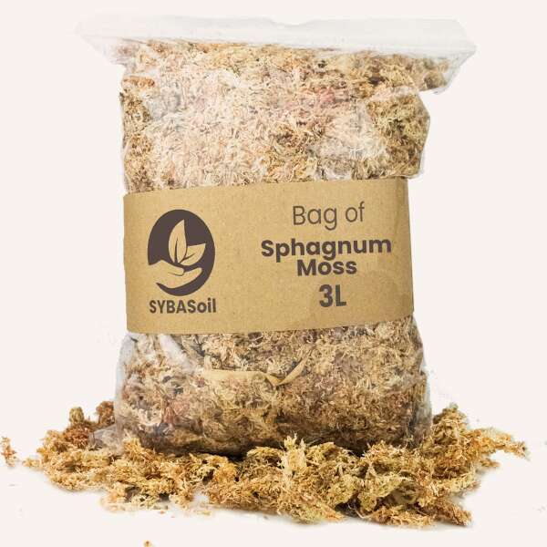 Sybasoil Sphagnum Moss 3L