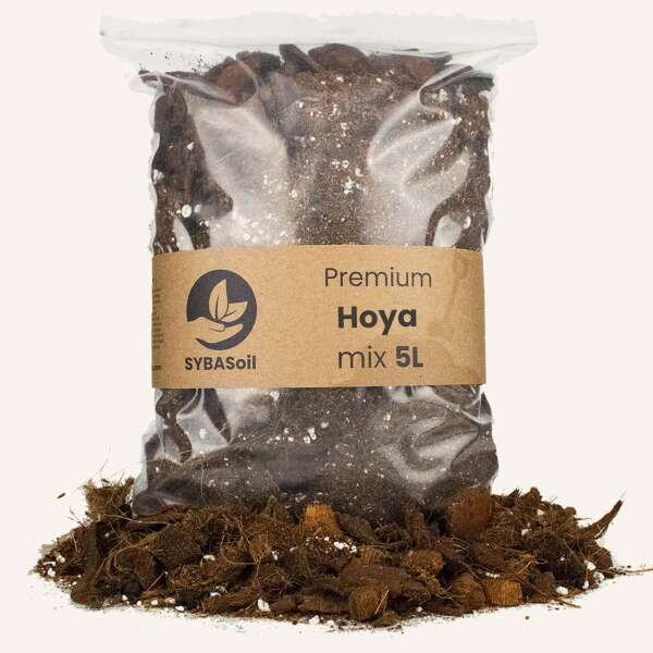 Sybasoil Hoya mix 5L
