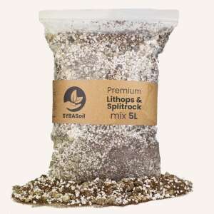 Sybasoil Lithops Mix 5L