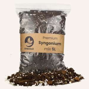 Sybasoil Syngonium Mix 5L