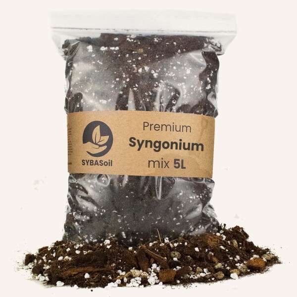 Sybasoil Syngonium Mix 5L